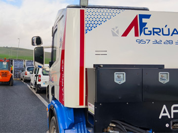 gestion-carga-afgruas3